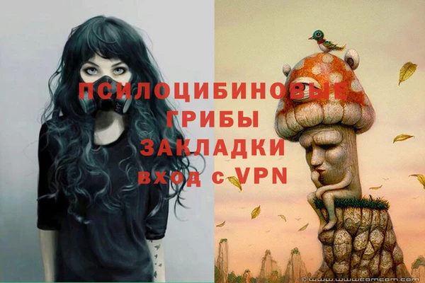 MDMA Premium VHQ Пролетарск
