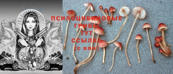 каннабис Белокуриха