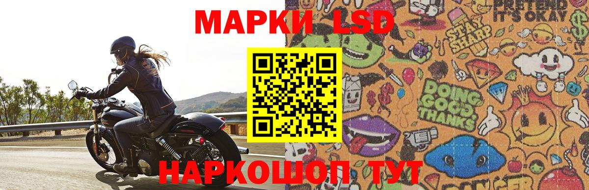 Псилоцибиновые грибы Среднеуральск