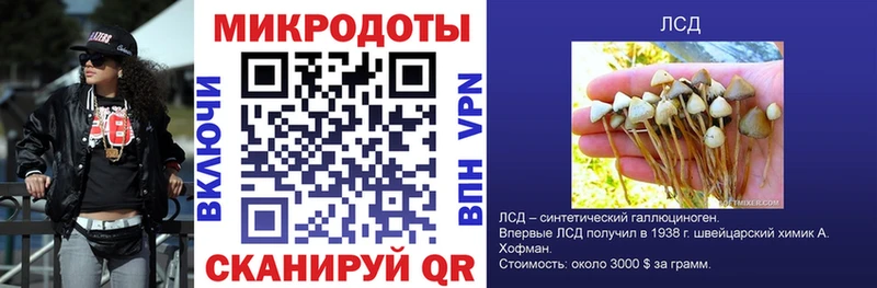 Галлюциногенные грибы прущие грибы  Среднеуральск 