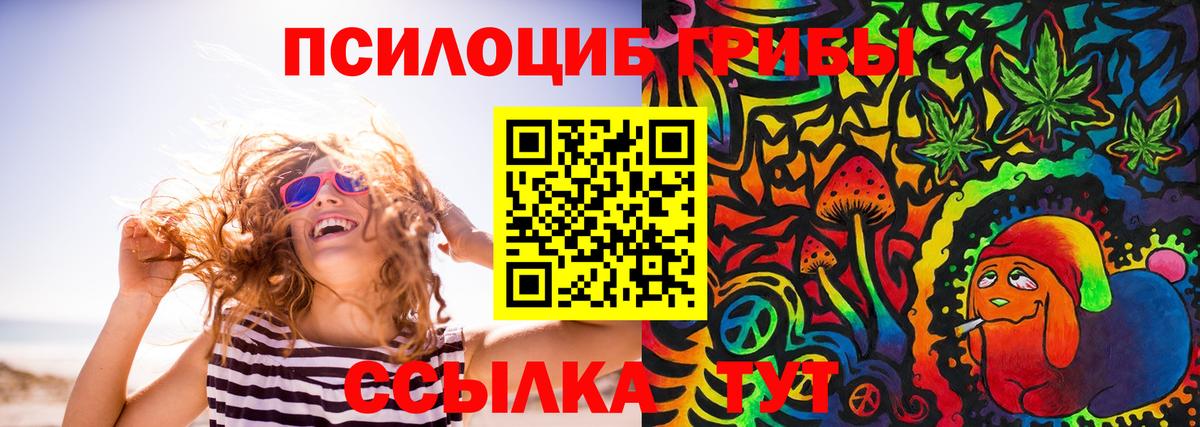 купить  сайты  Вход с VPN  Галлюциногенные грибы GOLDEN TEACHER  Среднеуральск  Псилоцибиновые грибы Psilocybe 