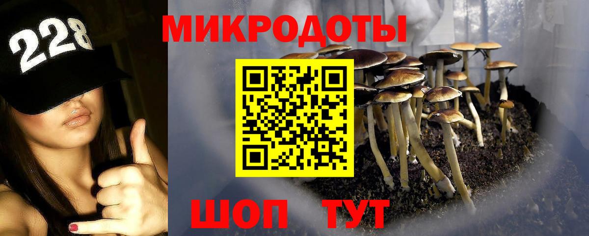 Псилоцибиновые грибы GOLDEN TEACHER Среднеуральск